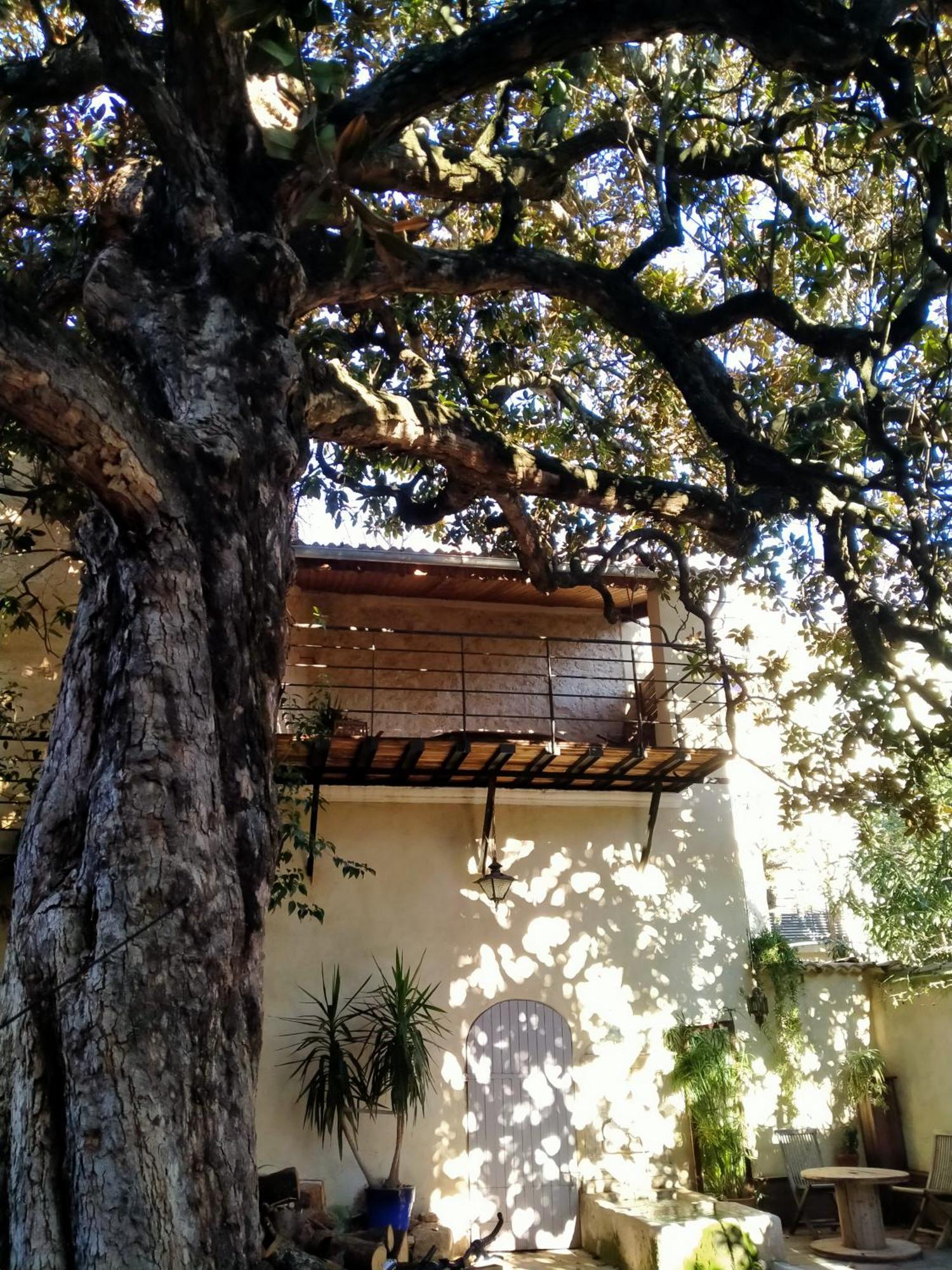Cote Fontaine Otel Orange  Dış mekan fotoğraf